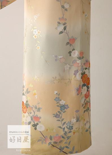 訪問着 身長152-167cm h-175